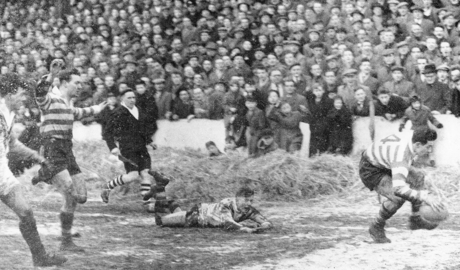 Alan Davies scores against Dewsbury in the Challenge Cup - Feb 11th 1956.