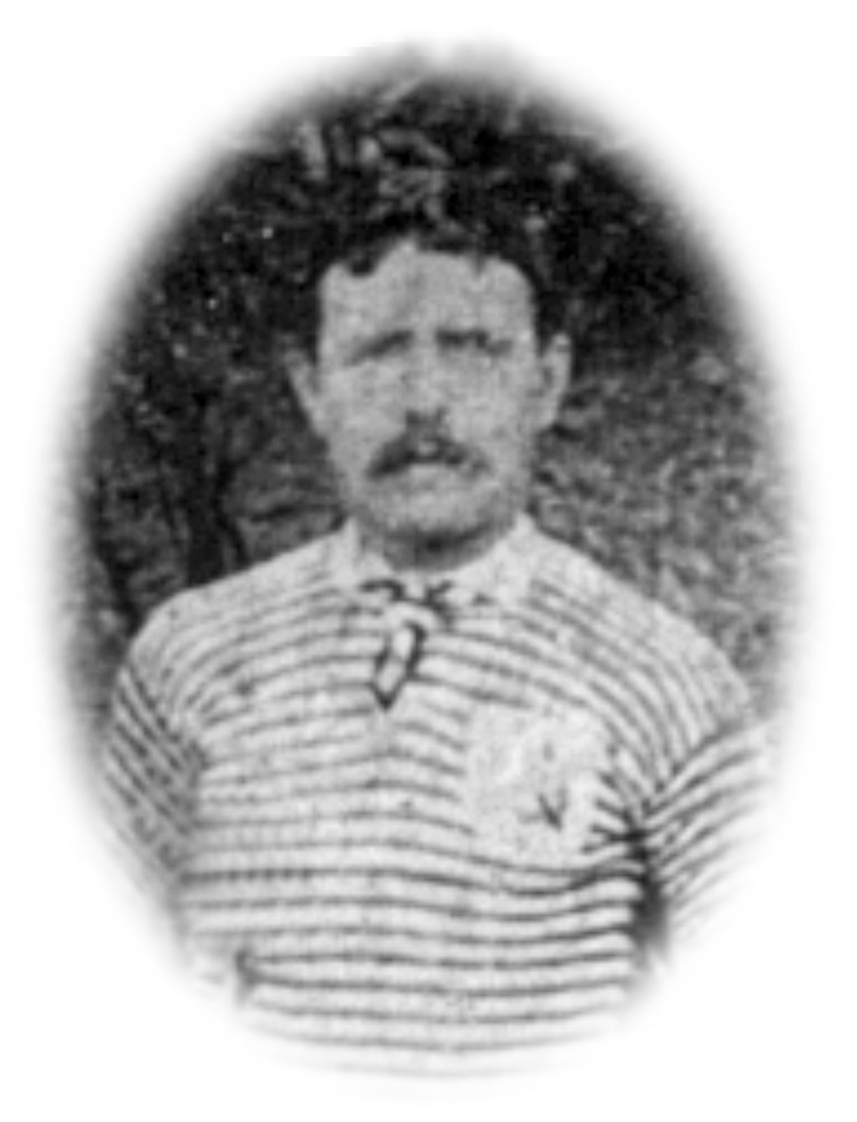 Harry Court