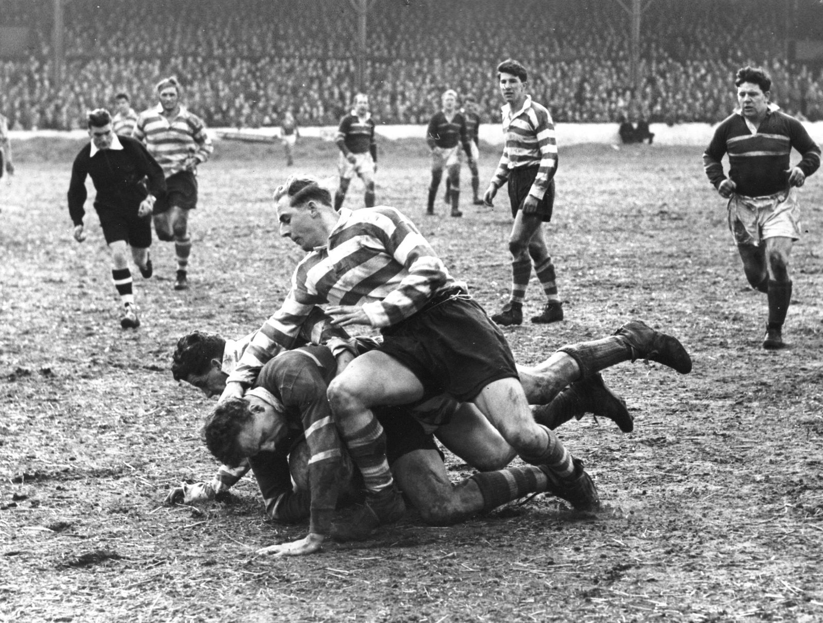 Turner and Nestor tackle a Hornets player - March 22nd 1958.