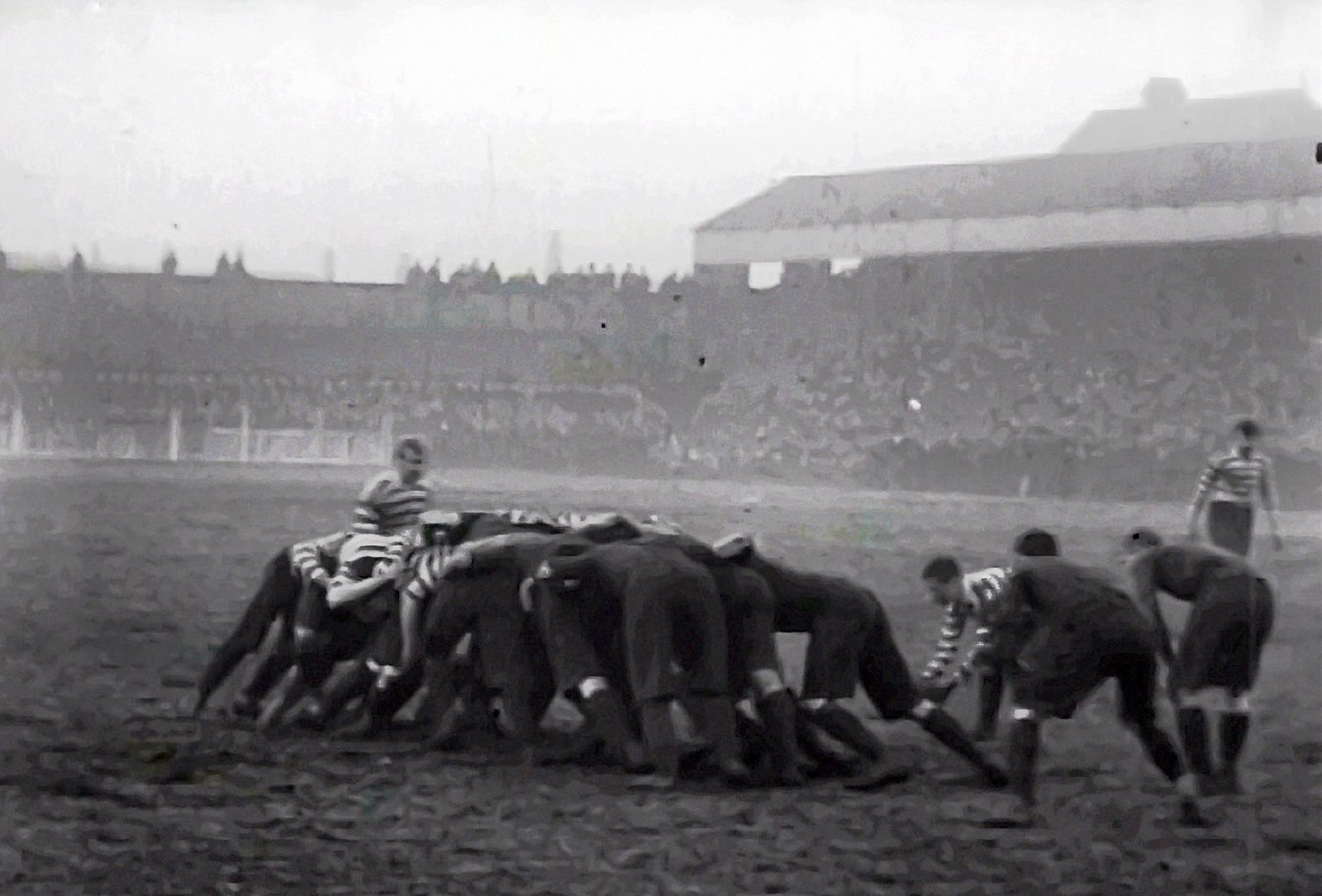 Joe Lawton feeds the scrum v Swinton - Jan 12th 1901.