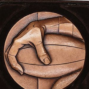 Sevens competition winners plaque 1993
