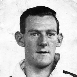 Harry Matthews