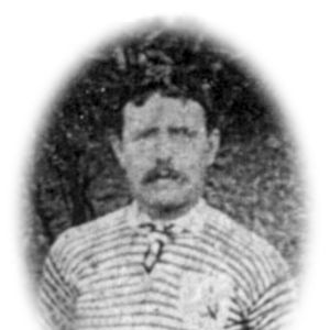 Harry Court