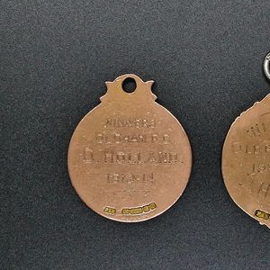 Dave Holland Medal Collection