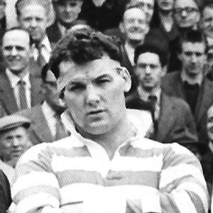 Don Vines