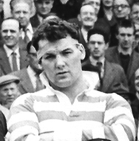 Don Vines